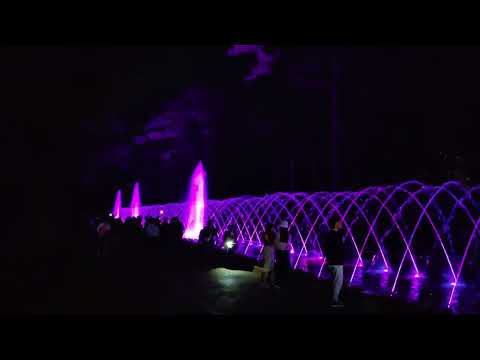 Magical Water and Light Show in Baguio City
