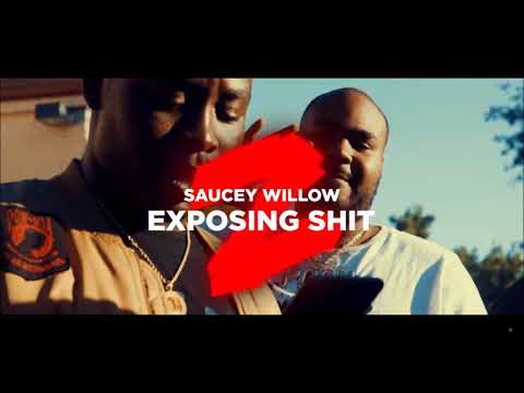 Saucey Willow - Exposing Shit pt.2