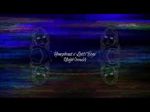 Gold Record Hungary and Honeybeast