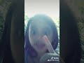 My Cat Feys
