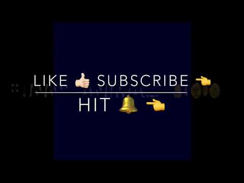 funny jokes and situations for animals😂😸