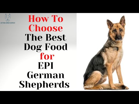How To Choose The Best Dog Food for EPI German Shepherds