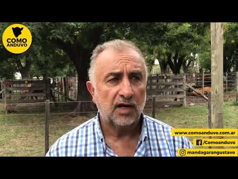 11-02-21 - Atilio Panaccio - Martillero - Remate de Jauregui Lorda en Tapalqué, Bs.As.