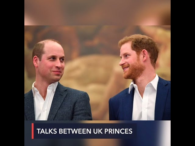 Talks between UK’s Prince Harry and brother William ‘not productive,’ friend says