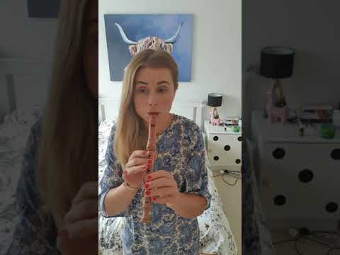 "Shallow" Lady Gaga& Bradley Cooper - recorder/ flute/ flet