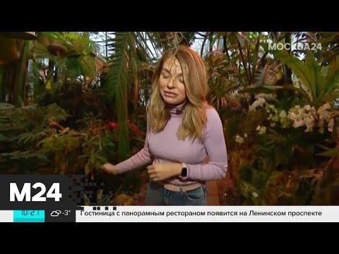 Ермакова даша москва 24