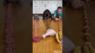 gambare gambare senpai)