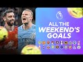 EVERY Weekend Goal Matchweek 25 2025 26 Premier League Highlights