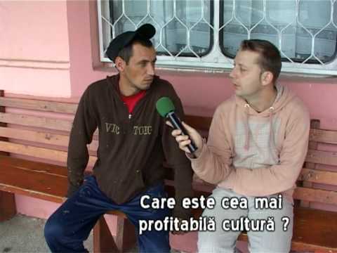 VIS 06.07.2010 - Agricultura.mpg