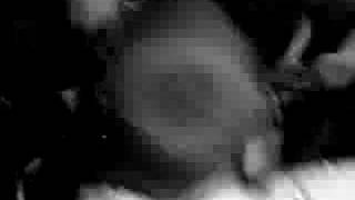 Have Heart-The Taste Of The Floor & Armed With A Mind@ che cafe