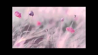 Download lagu 3 HOURS Best Relaxing Music 'Romantic Piano' Background Music for Stress Relief, Therapy, Love mp3