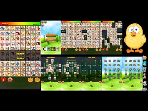 Connect Animal Video