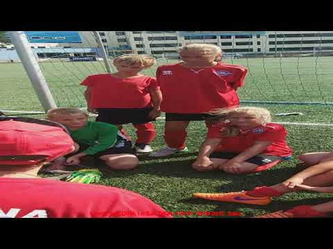 SJK DINA . 2010. 18.08.2019. Saku