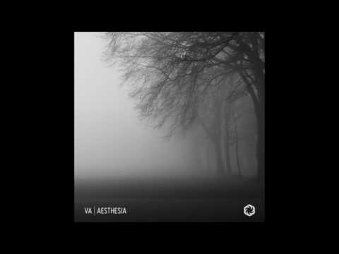 Aesthesia [Full Compilation]