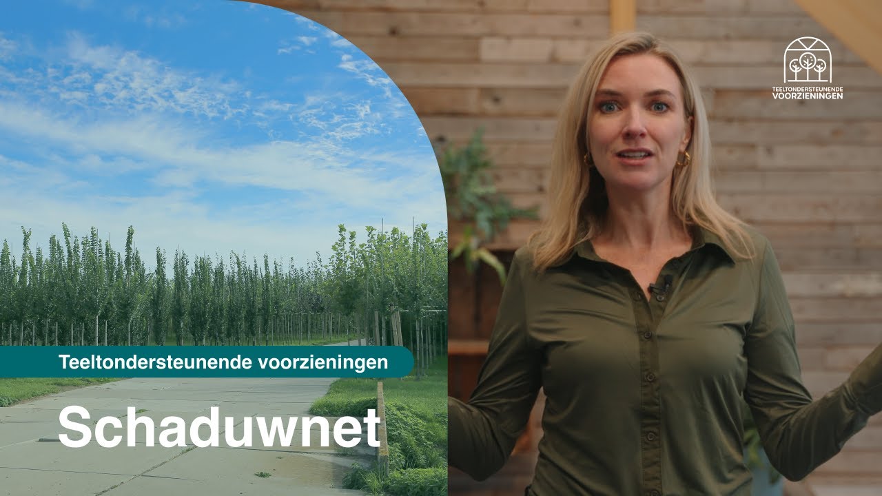 Videostill: schaduwnetten boven een teeltveld
