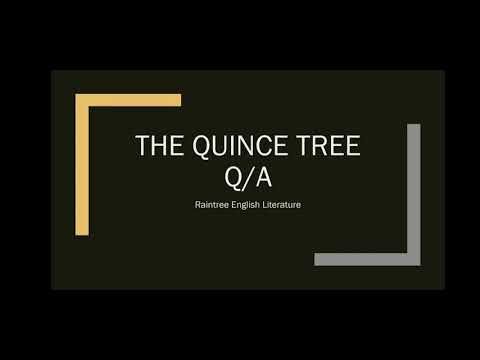 Perguntas/Respostas sobre The Quince Tree || Aula 8 || Raintree Literatura Inglesa