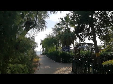 Going to Flisvos Beach 🌊🌴 #park #beach #greece