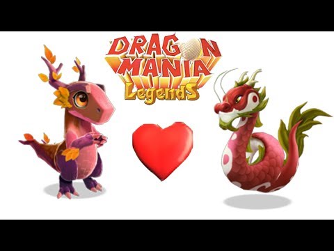 ENCHANT DRAGON BATTIE | AUTUMN VS LANTERN - Dragon Mania Legends | part 376