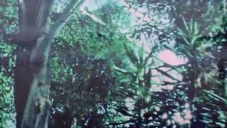 Pinkshinyultrablast - Umi