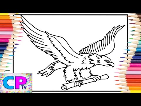 Eagle Coloring Pages/Coloring of Bald Eagle/Syn Cole - Reflect [NCS Release]Coloring Pages Tv