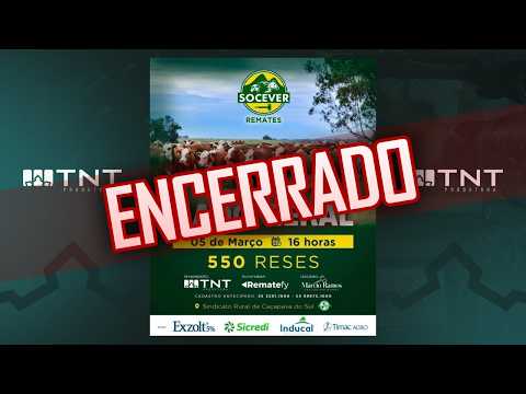 05/03 - Gado Geral Socever Remates | 16h