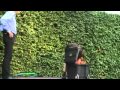 Kleines Fest Im Grosser Garten Hannover 2008