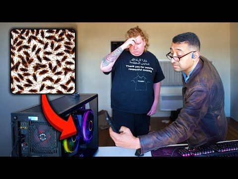 Filling My Computer With Actual Bugs and Hiring Someone to Fix it!