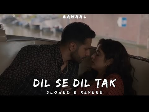 Dil Se Dil Tak | Bawaal | Slowed & Reverb | Varun, Janhvi