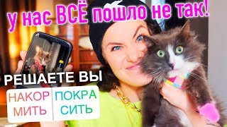 ДЕНЬ РОЖДЕНИЯ КИСЫ АЛИСЫ! ГОТОВЛЮ, НАРЯЖАЮ, ГУЛЯЮ С КОШКОЙ! ПОДПИСЧИКИ УПРАВЛЯЮТ ДНЁМ КОШКИ