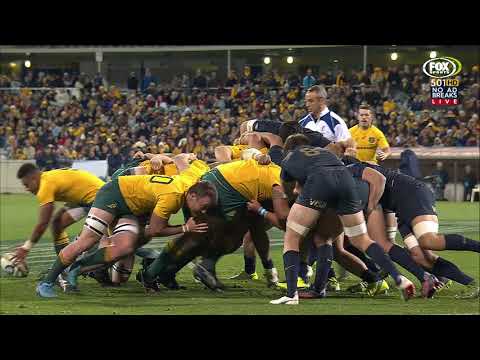 2017 Rugby Championship Rd 4: Australia v Argentina