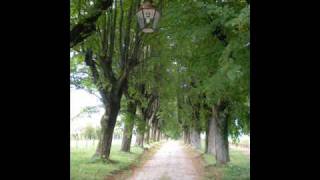 John Martyn - Ballad of an elder woman