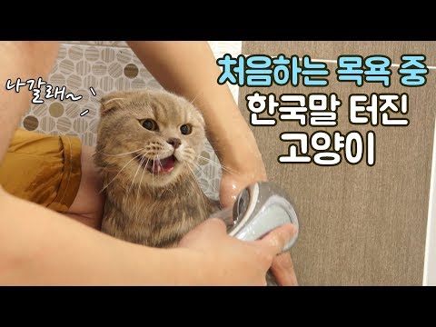Iz's First Time Bathing and Iz Speaks Korean?!