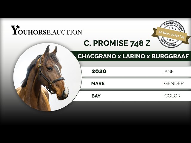 C. Promise Z