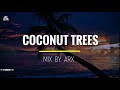 Awriix - Coconut 🌴🥥 Summer Tropical House Music 🌴 Original mix