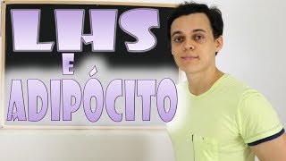 Função da Lipase Hormônio Sensível