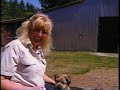 Opening To Good Boy 2004 VHS True HQ