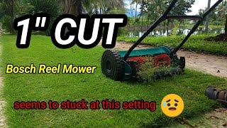 Zoysia von 3" auf 1" mit einem Spindelmäher Bosch AHM 38G kürzen | Ist das eine gute Idee?