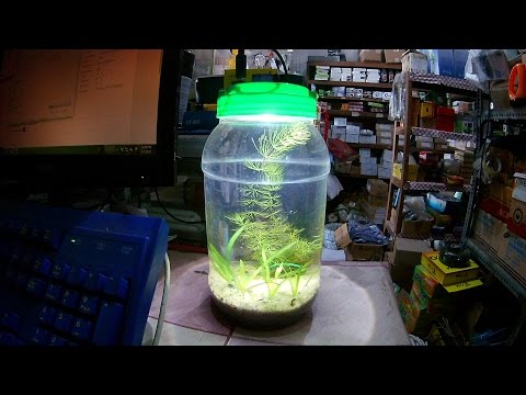 DIY nano aquascape