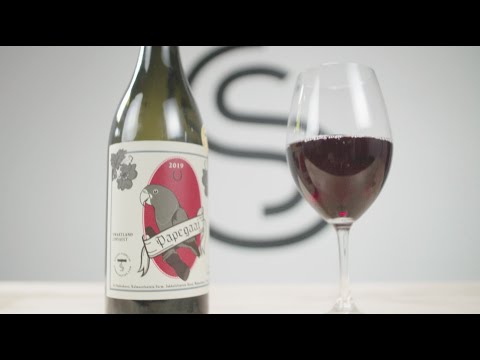 Adi Badenhorst - Papegaai 2019