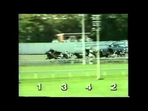 Hambletonian 1992_Alf Palema