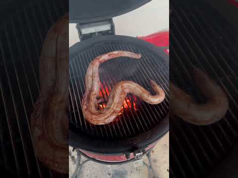 BBQ Rattlesnake #foryou #howto #cooking #rattlesnakes #cooking #food #grilling #barbecue #snake