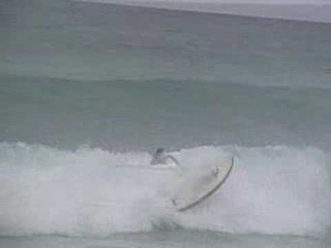 The surfing adventures of Mike and Joe