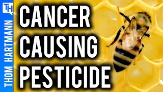 Can Monsanto Be Sued For Creating Carcinogenic Crops?