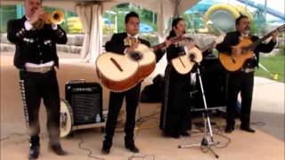 Mariachi Mexico Amigo- Cielito Lindo