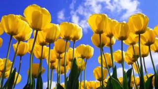 Download lagu boot.ini File recover mp3