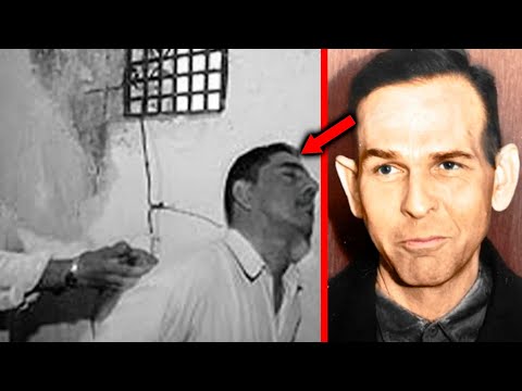 History Grip PL and TIME SCAR History PL