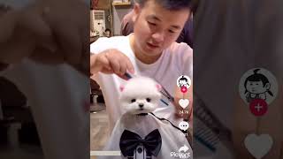 美容師とお客様の顔が似すぎ