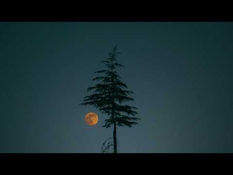 erdem kriser - gmz (it sounds like snowfall)