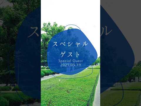 【千里金蘭大学】及川美紀客員教授による特別授業を持続可能社会論にて実施