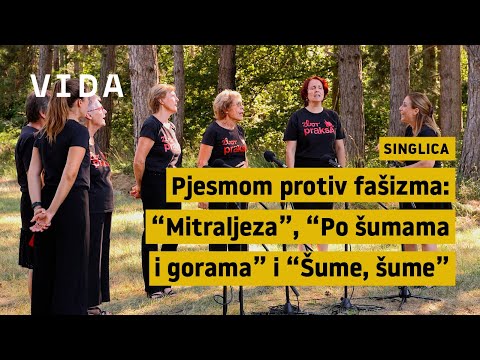 Singlica - Zbor Praksa